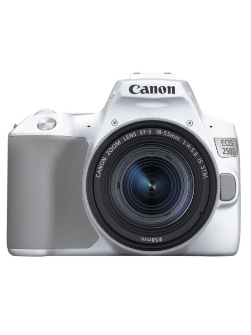 Зеркальный фотоаппарат CANON EOS 250D kit