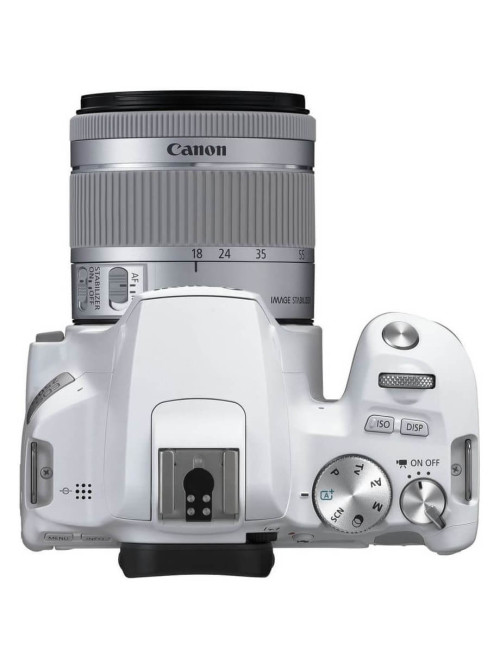 Зеркальный фотоаппарат CANON EOS 250D kit